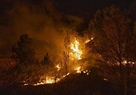 Incendio en O Bolo (Ourense)