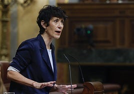 Elma Saiz, este miércoles en el Congreso.