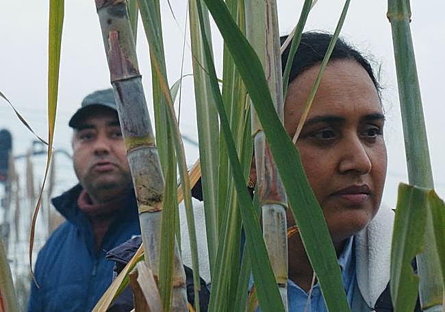 Una imagen de 'Historias del buen valle'.