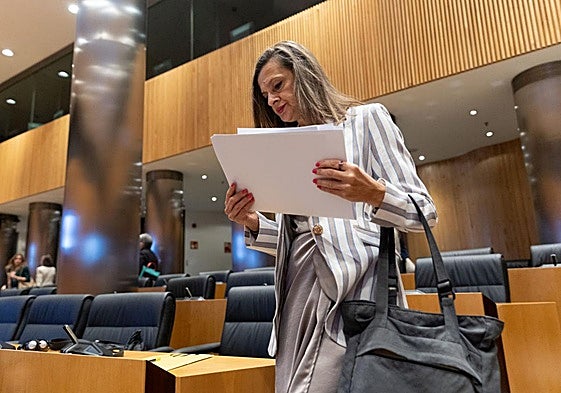 La delegada del Gobierno contra la Violencia de Género, Carmen Martínez Perza, este jueves en el Congreso.