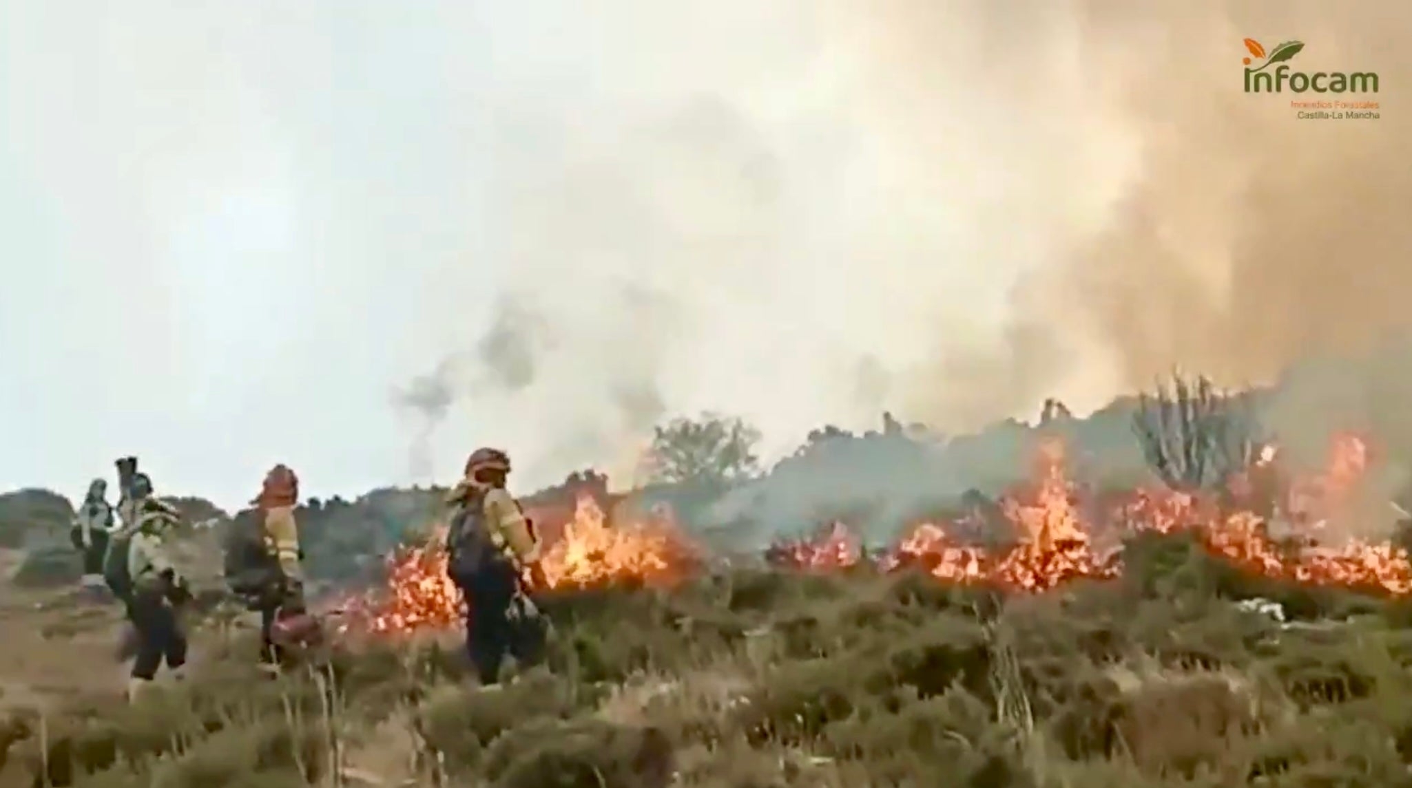 Cerca de 3.000 hectáreas arrasadas en el incendio aún sin control de Guadalajara