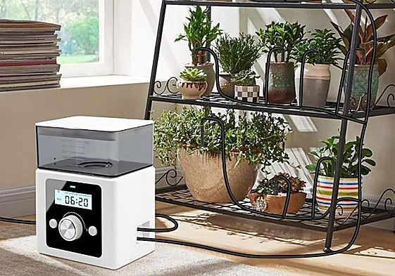 Olvídate de tus plantas cuando no estés en casa gracias a este sistema de riego automático