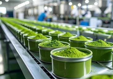 Matchamanía, la moda que está dejando sin té a Japón