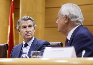 El PP lleva al Constitucional el bloqueo del Congreso a sus leyes tramitadas en el Senado