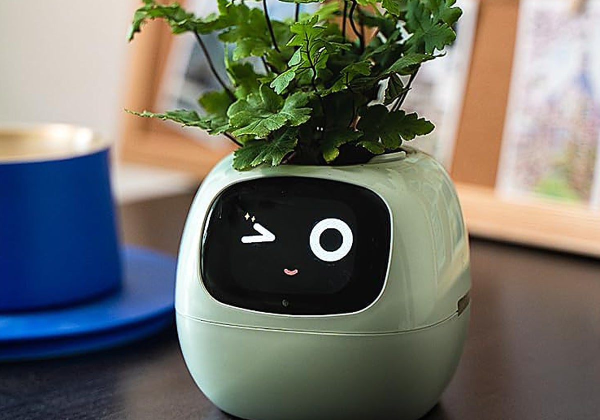 Esta maceta es capaz de cambiar de cara en función del estado de tus plantas y de tu hogar