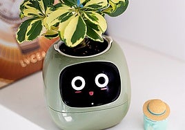 Esta maceta es capaz de  cambiar de cara en función del estado de tus plantas y de tu hogar