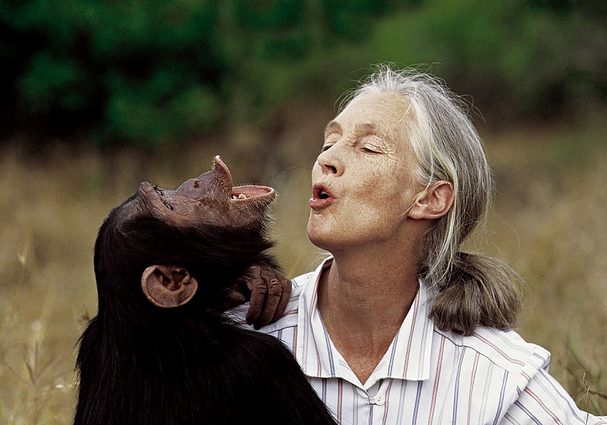 La vida de Jane Goodall, en imágenes