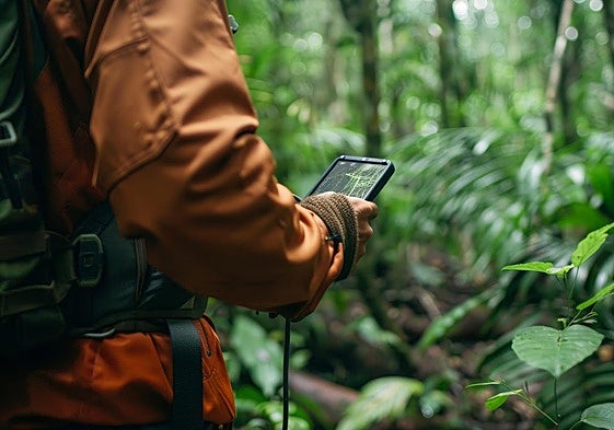 Así puedes 'rascar' más cobertura para tu móvil