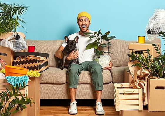 Fiesta de Ofertas Prime de Amazon: un hogar más cómodo para ti y para tus mascotas no tiene precio