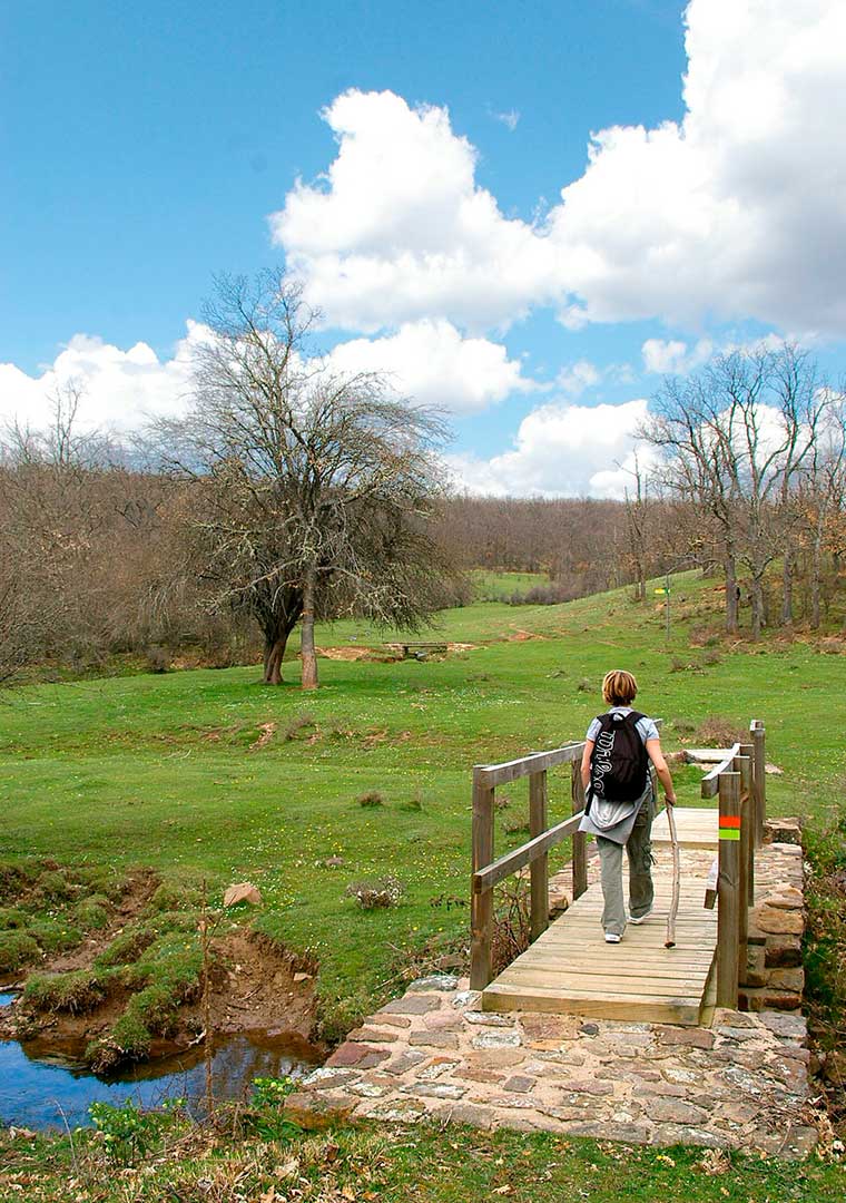 Imagen - Una joven pasea por la vía romana del Iregua