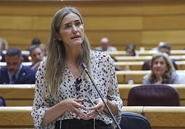 La vicepresidenta tercera y ministra para la Transición Ecológica, Sara Aagesen.