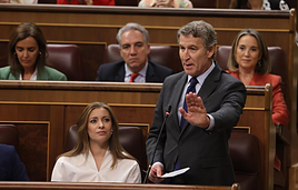 El líder del PP, Alberto Núñez Feijóo