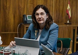 La presidenta de la CNMC, Cani Fernández