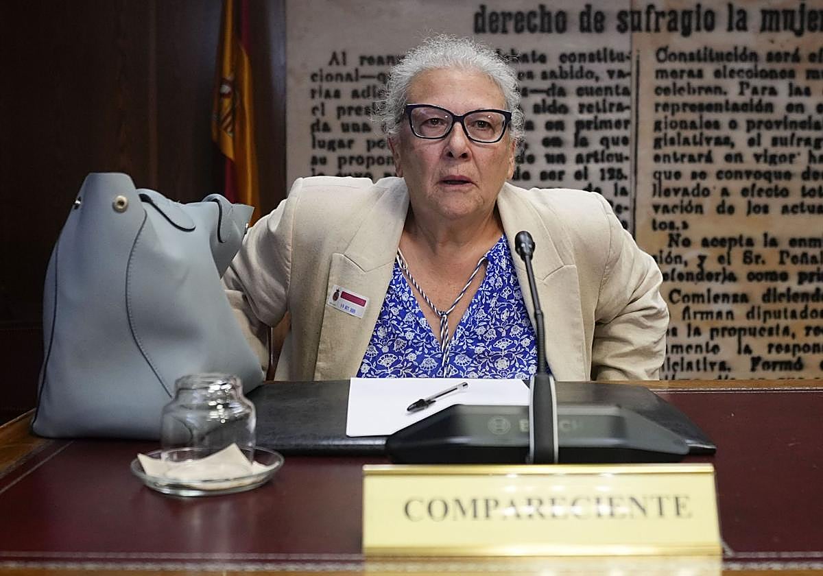 La empresaria Carmen Pano, en su comparecencia en el Senado.