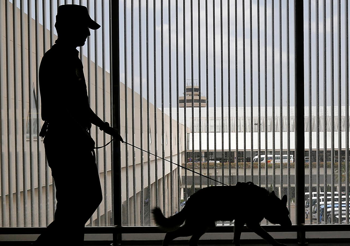 Detenido en Palma por acuchillar en el cuello a su mujer