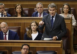 Alberto Núñez Feijóo, en el Congreso