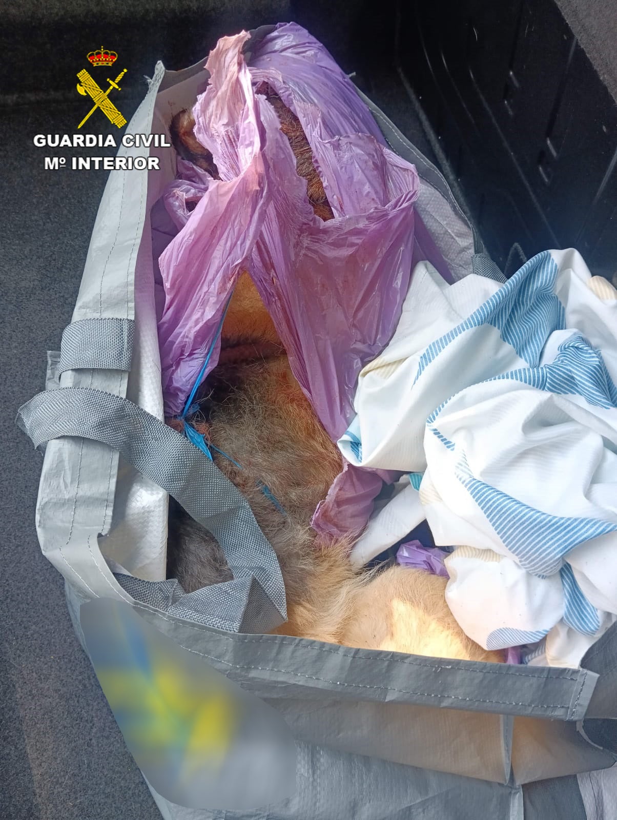 Denunciados dos hombres por matar a palos a un perro