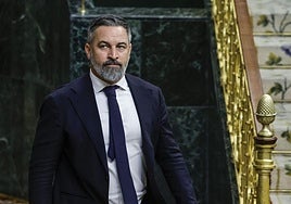 El líder de Vox, Santiago Abascal.