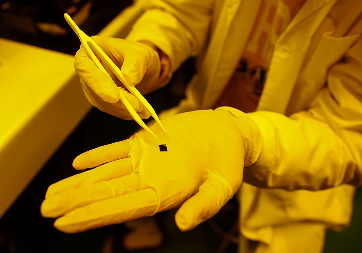 Nexperia's microchips are essential for the functioning of automobiles.