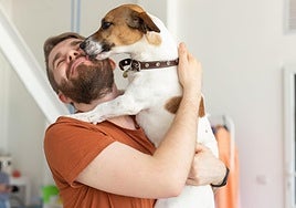 Es más higiénico besar a tu perro que a tu novio barbudo