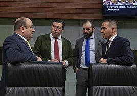 Diputados de Vox en la sesión plenaria de este jueves.