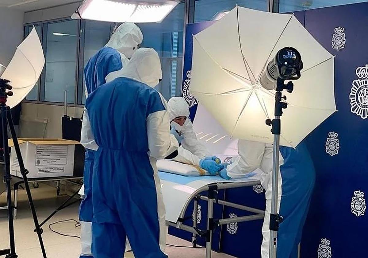 Agentes de la Policía Nacional inspeccionando el cuadro este viernes.