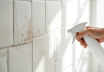 Despídete del moho y la humedad con este el spray antimoho que recupera tus paredes en pocos minutos