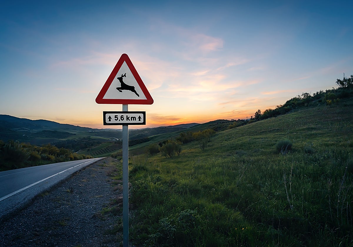 Señal de animales en carretera