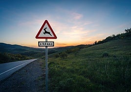Señal de animales en carretera