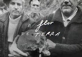'A flor de tierra', documental de RTVE