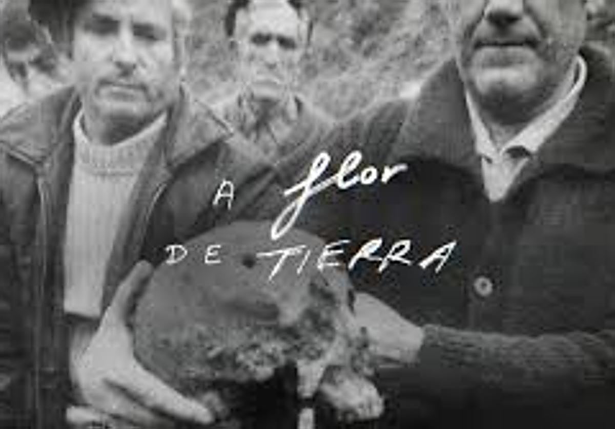 'A flor de tierra', documental de RTVE