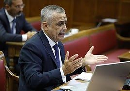 El senador de Vox, Ángel Gordillo, durante su intervención.