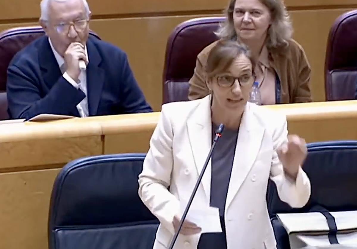 Javier Arenas Caught Vaping in the Senate During Mónica García's Speech