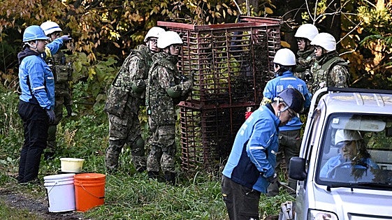 Japón despliega al Ejército para contener una oleada de ataques de osos que ha matado a 12 personas