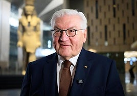 El presidente de Alemania, el socialdemócrata Frank-Walter Steinmeier.