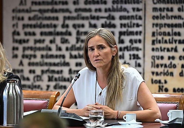 El Gobierno eleva 1.300 millones la retribución a las renovables para salvar su rentabilidad