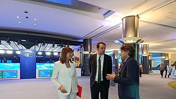 Andueza confía en lograr la oficialidad del euskera en el Parlamento Europeo