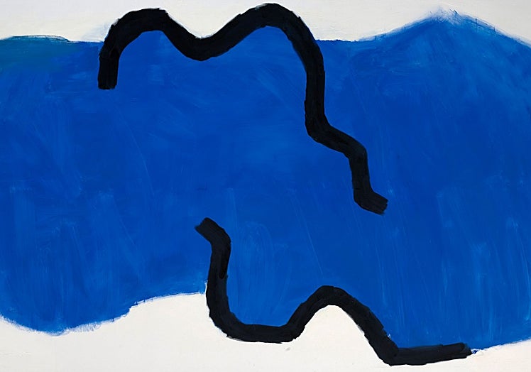 'Sin título' (2009). Agustín Ibarrola.