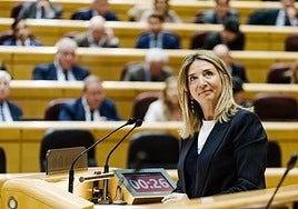 La portavoz del PP en el Senado, Alicia García.