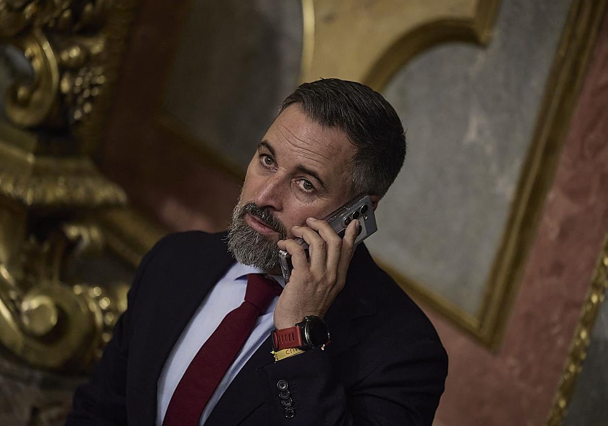 El líder de Vox, Santiago Abascal.