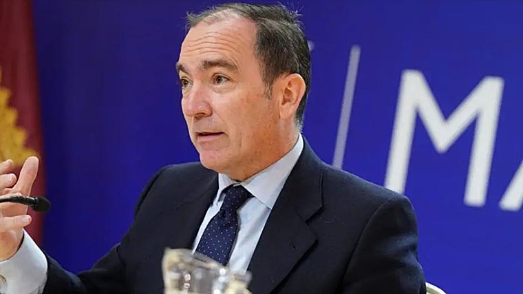 El delegado de Urbanismo, Medio Ambiente y Movilidad del Ayuntamiento de Madrid, Borja Carabante