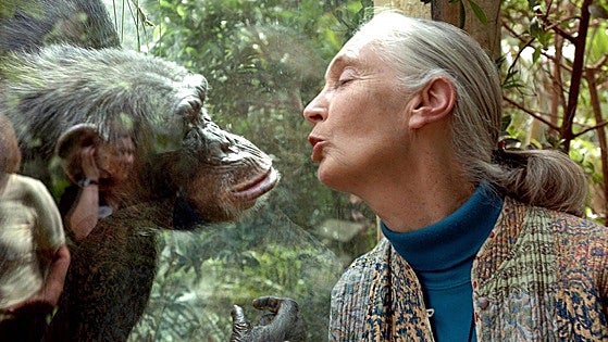 El primer beso ocurrió hace 21 millones de años