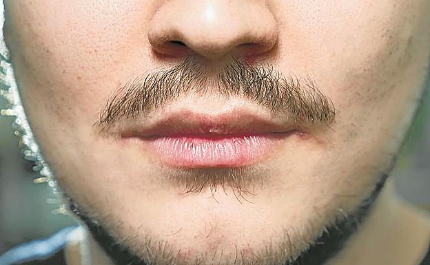 Bigote de estilo inglés