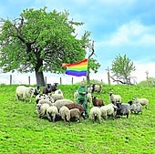 Stüke cuida a más de una treintena de ovejas en su granja de Löhne.