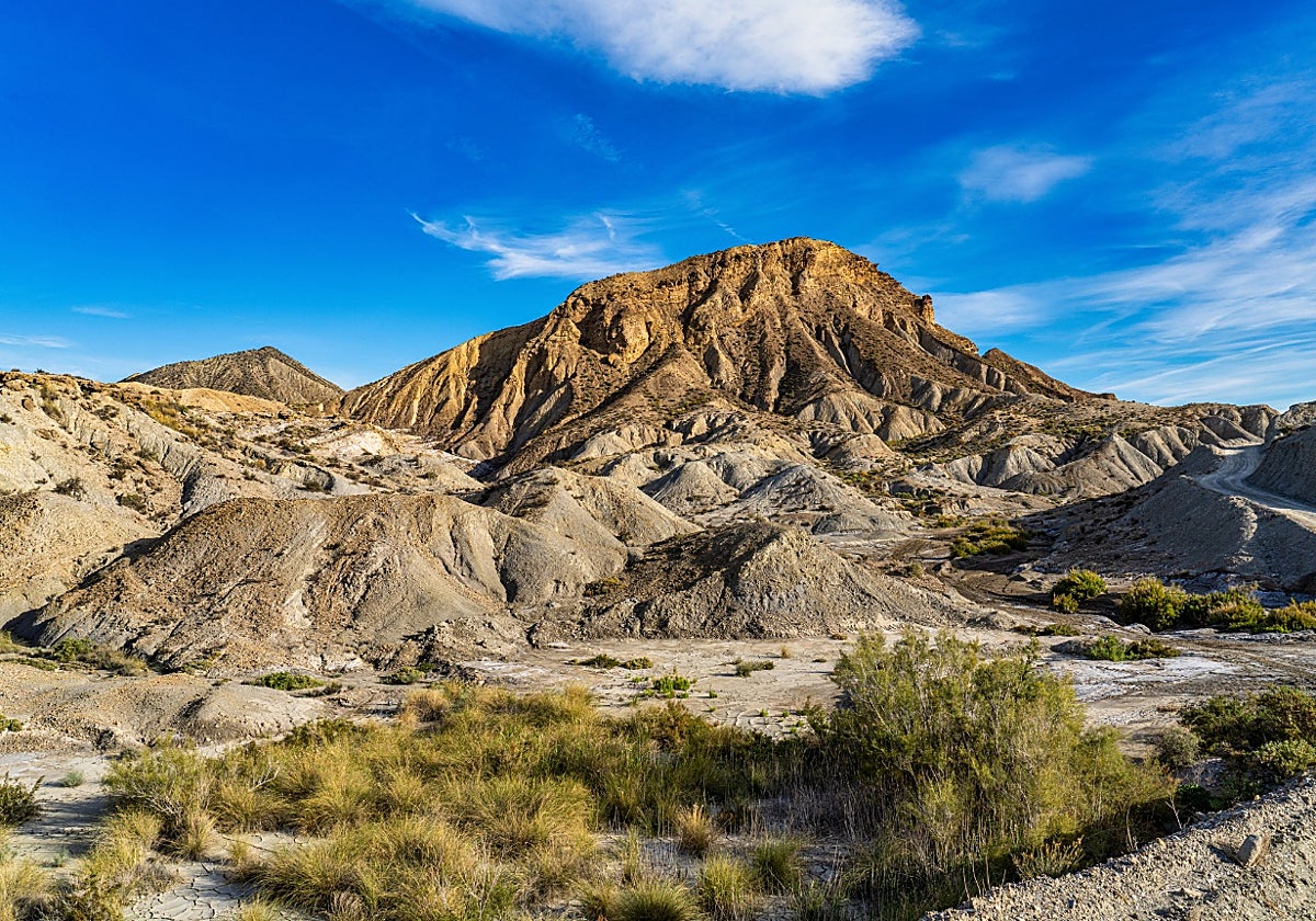 La desertificación afecta a más de 200.000 kilómetros cuadrados en España.