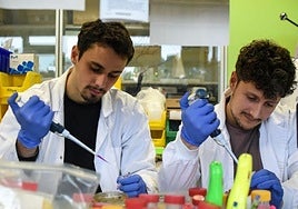 Ander Ramos y Joao Zulaica trabajan en el laboratorio del Instituto Biofisika (UPV/CSIC).