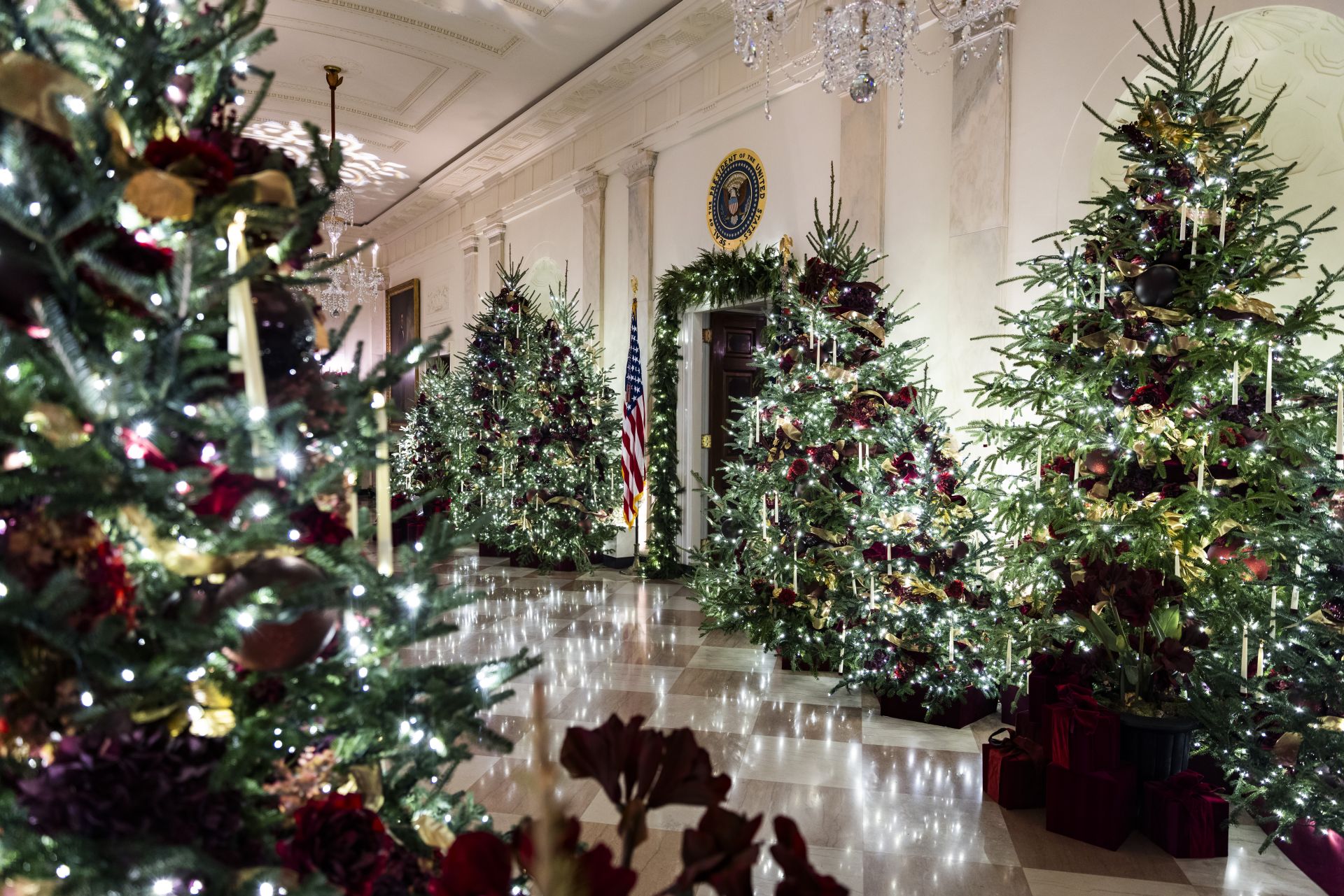 Los Trump ya celebran la Navidad en la Casa Blanca