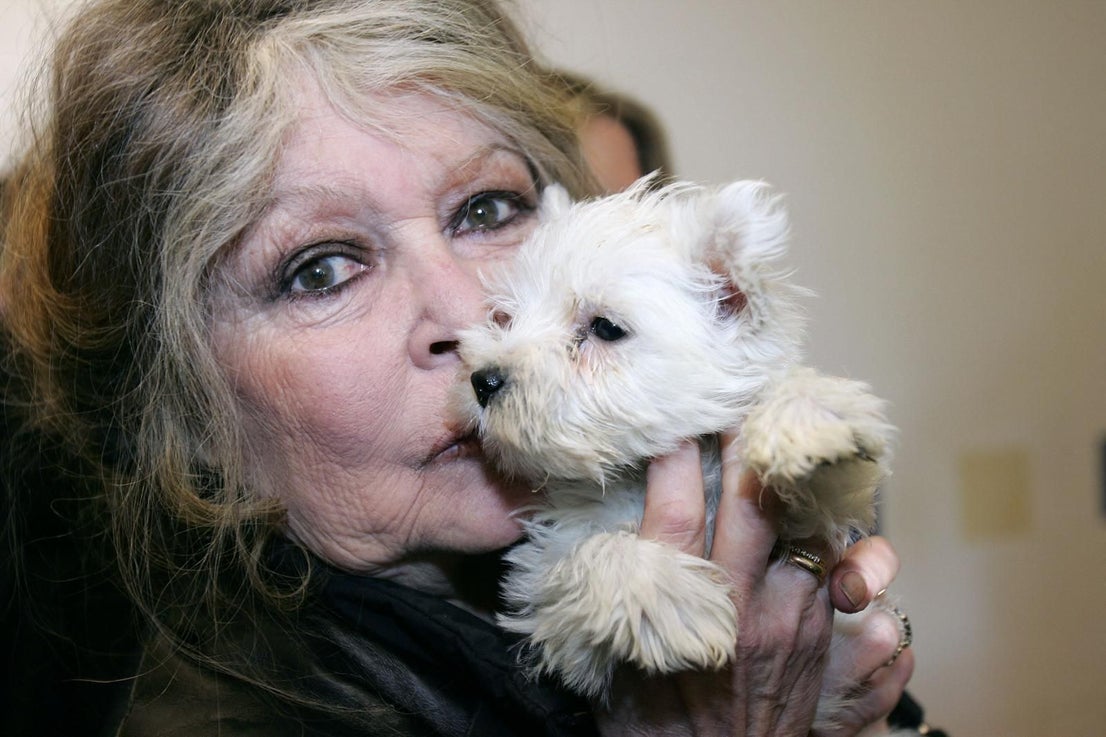 La actriz francesa y activista por los derechos de los animales Brigitte Bardot en una perrera en Niza, en 2005