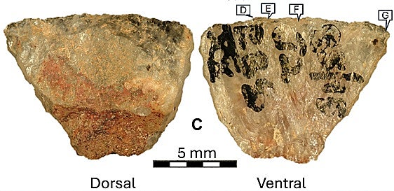 Las flechas envenedadas más antiguas tienen 60.000 años y han sido descubiertas en Sudáfrica