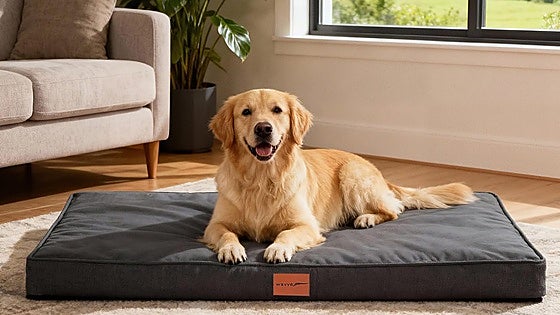 Estas camas ortopédicas para perros grandes mejorarán el descanso de tu peludo